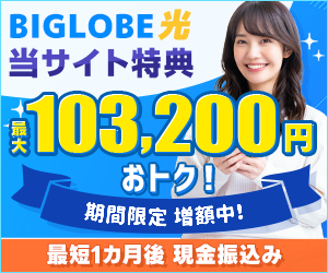 ビッグローブ光