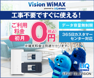 Vision WiMAX